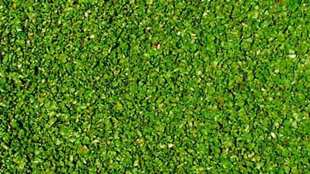 HEKI 3398 — Листва деревьев (виноградная) (средняя, ~200 мл), 1:22,5—1:120, сделано в Германии