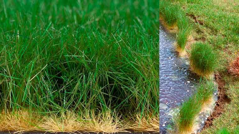 AUHAGEN 76800 — Трава летняя (волокна ~5—20 мм, 210 × 148 мм), 1:35–1:200, сделано в Германии